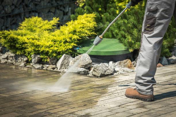 Best Winterizing Services  in Ladue, MO