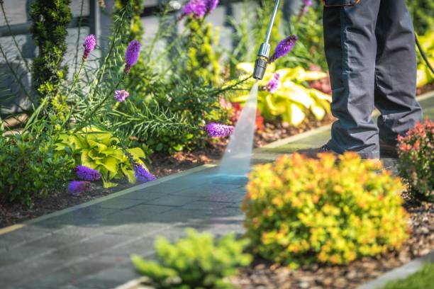 Best Dumpster Area Cleaning  in Ladue, MO
