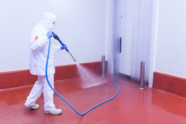  Ladue, MO Pressure Washing Pros